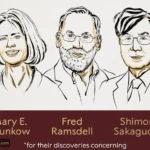 جوائز نوبل ٢٠٢٥