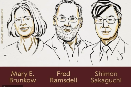 جوائز نوبل ٢٠٢٥